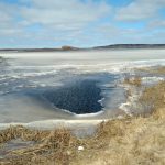 Goose Flats, Pembroke